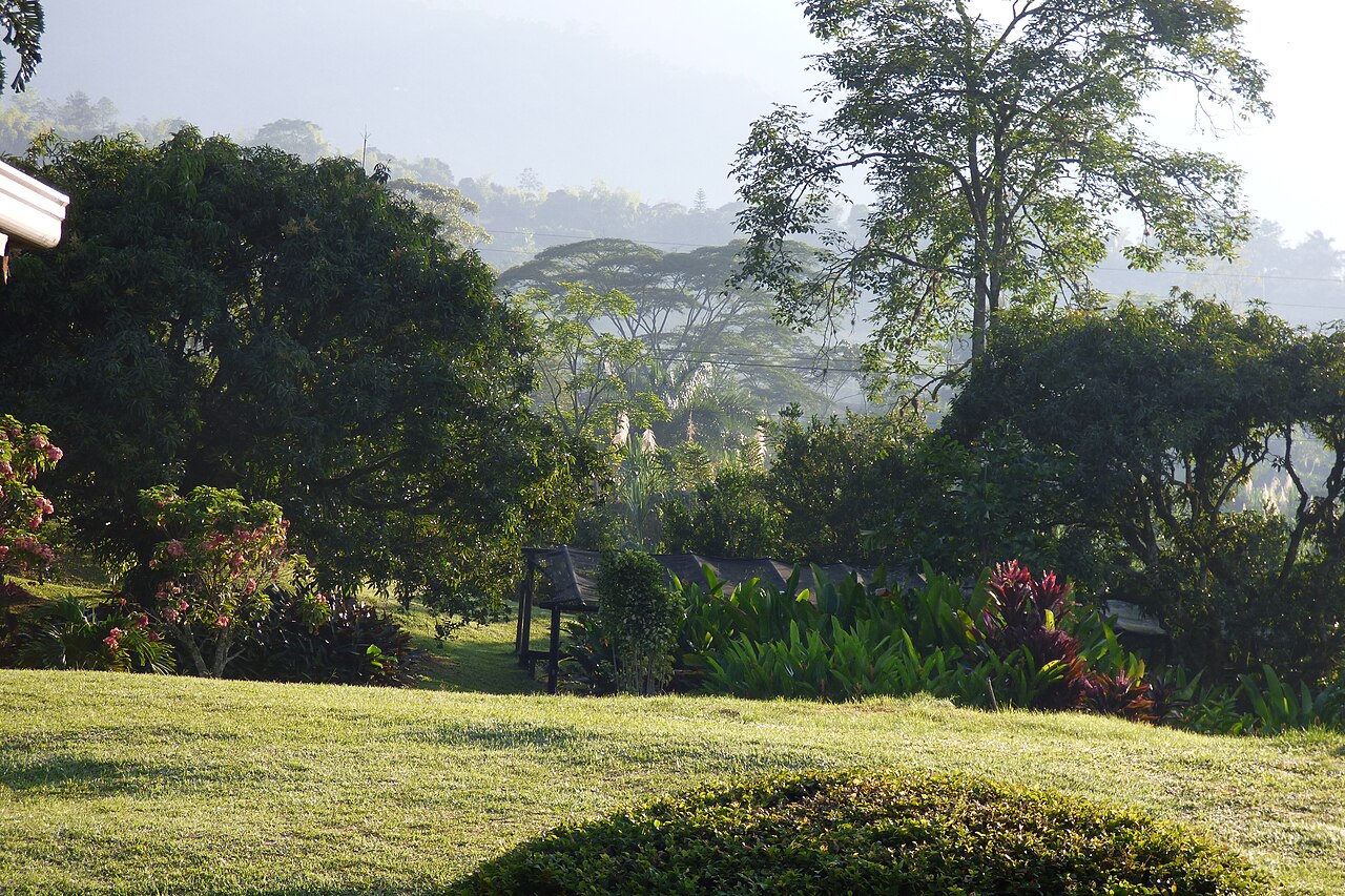 Amanecer entre jardines y montañas en Camilo C., Amagá