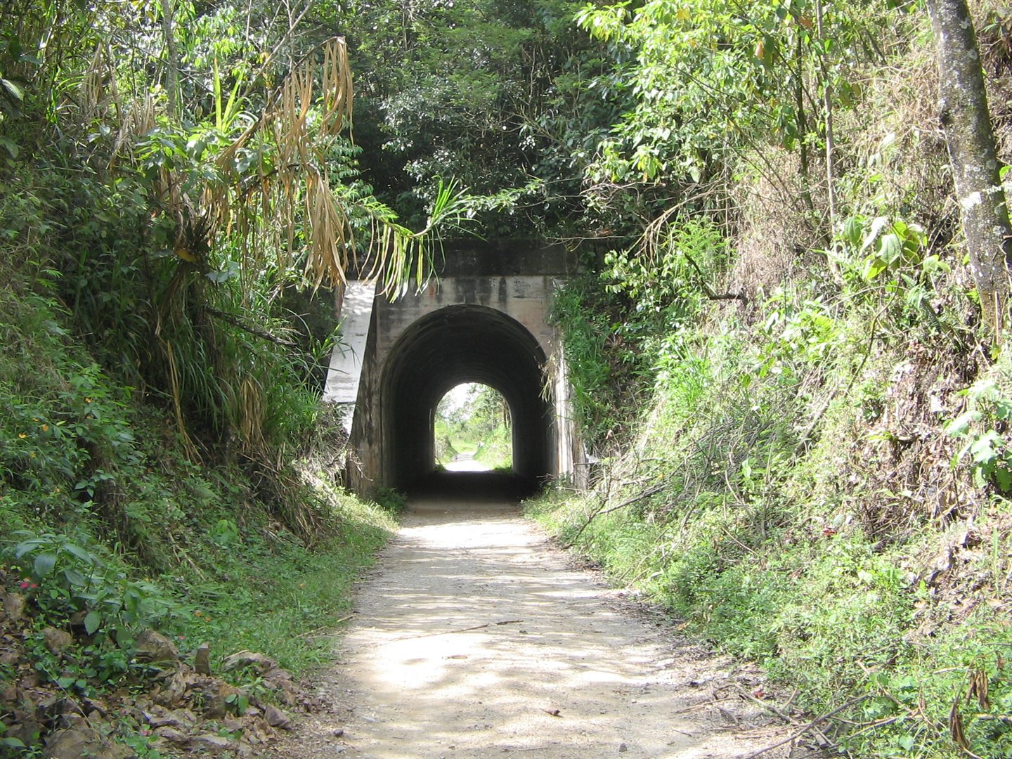 Túnel histórico rodeado de vegetación en Amagá